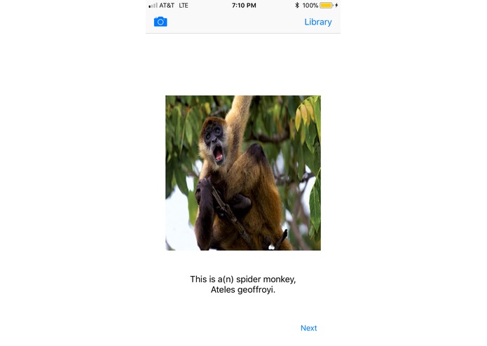 AnimalRecognition – screenshot 4