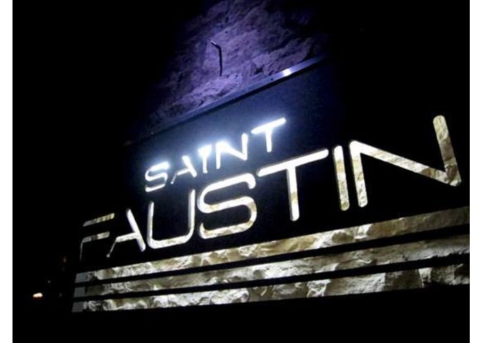 Faustin – screenshot 1