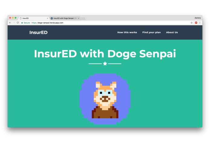InsurED with Doge Senpai – screenshot 1