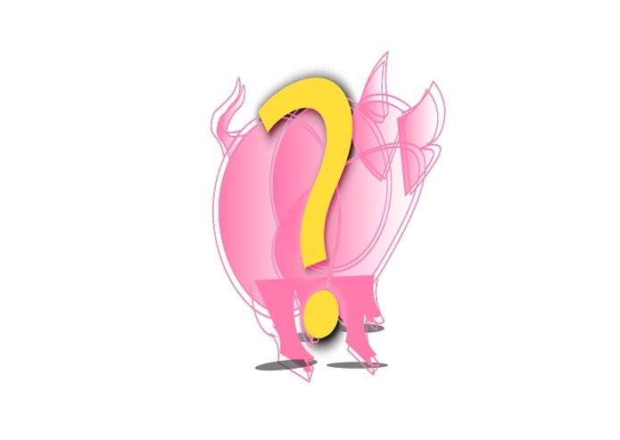 Animal sounds quiz – screenshot 1