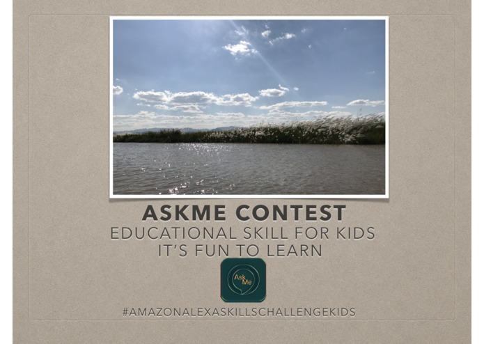 AskMe Contest - Educational Skill For Kids – screenshot 12