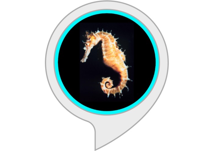 Seahorse Facts Alexa Skill – screenshot 1