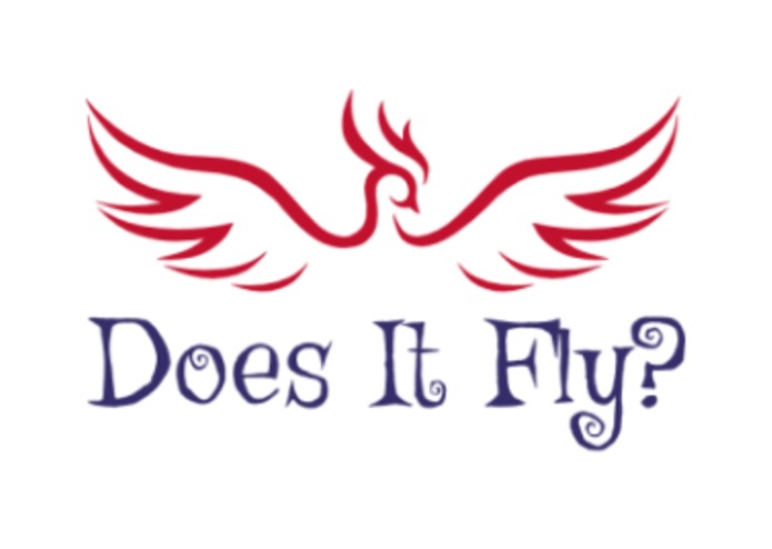 Does It Fly? (Chidiya Udd) – screenshot 1