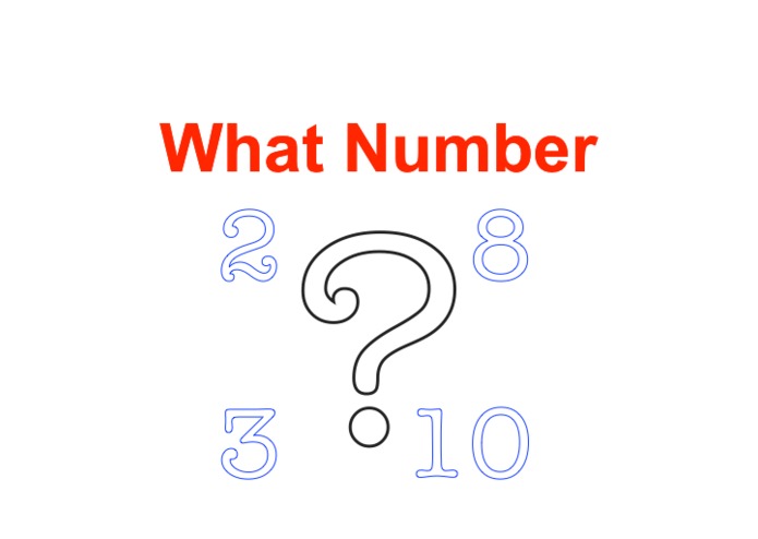 What Number Game – screenshot 2