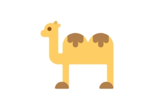 Animals 101