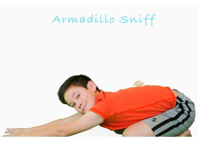 Animal Yoga – screenshot 3