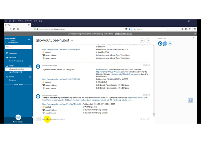 glip-chatbot – screenshot 2