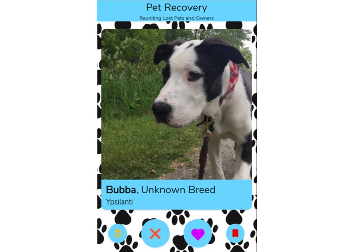 Pet Recovery – screenshot 1