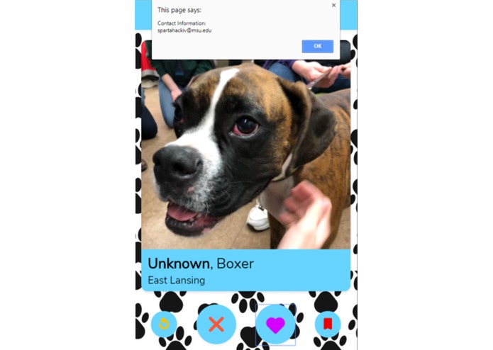 Pet Recovery – screenshot 2
