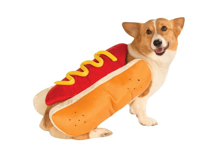 Is it a hot dog – screenshot 1