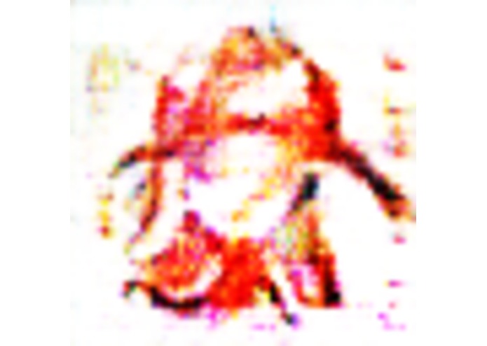 Logo GANerator – screenshot 3