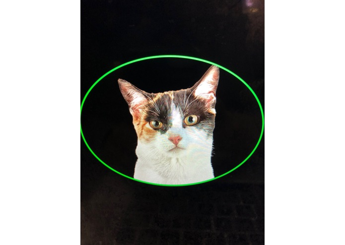 InterMeow – screenshot 1