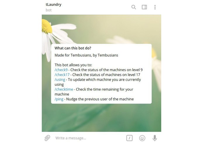 DD - tLaundry – screenshot 1