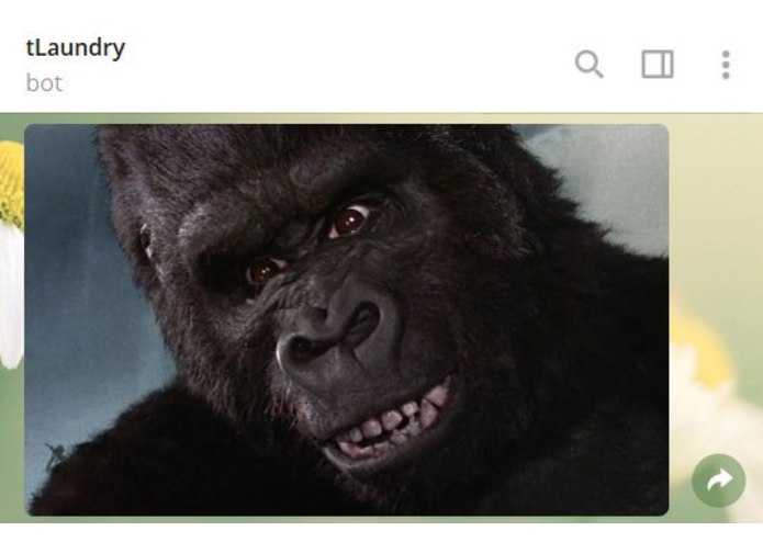 DD - tLaundry – screenshot 8