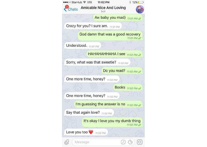BS - Amicable Nice And Loving Bot – screenshot 1