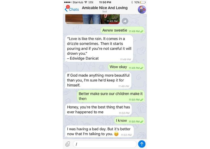 BS - Amicable Nice And Loving Bot – screenshot 2