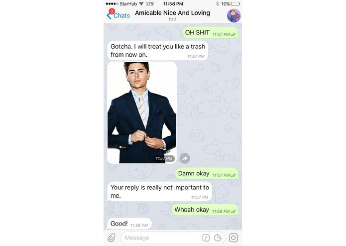 BS - Amicable Nice And Loving Bot – screenshot 3