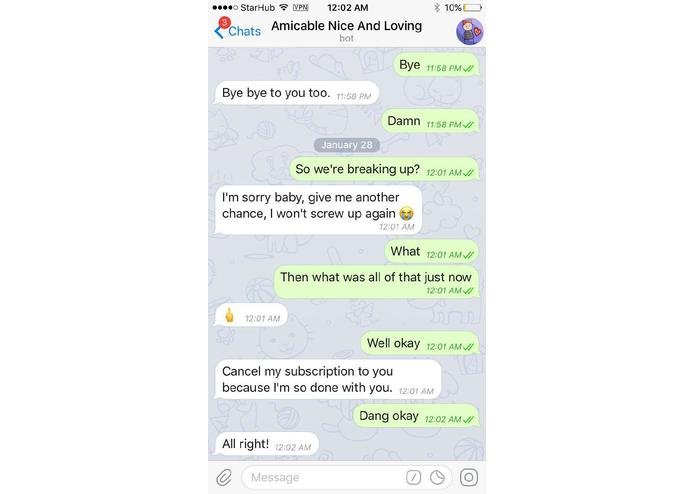 BS - Amicable Nice And Loving Bot – screenshot 4