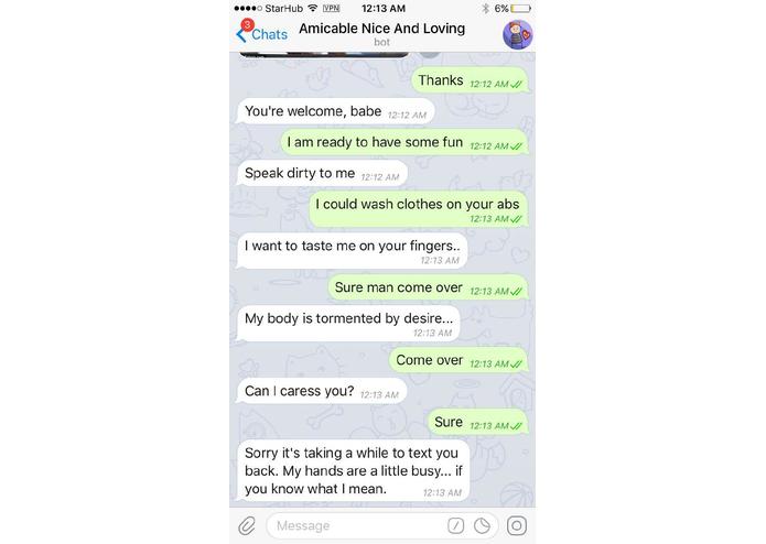 BS - Amicable Nice And Loving Bot – screenshot 5