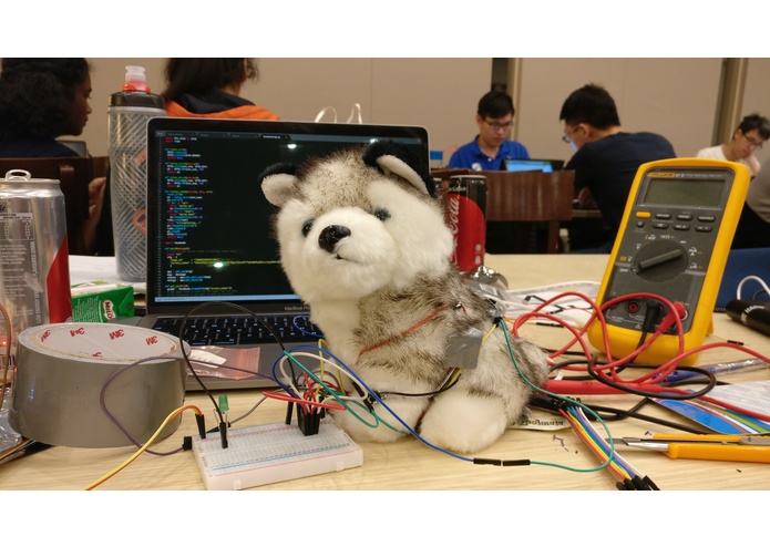 AJ Huggable Husky – screenshot 3