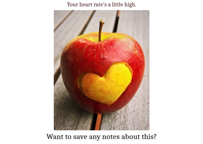 Mood Ring: a heart rate tracker for anxiety – screenshot 9