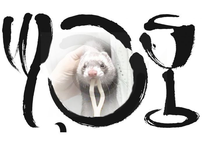 Recipe Wingman - 55 B – screenshot 1