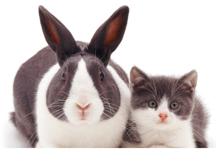 Color My World – screenshot 1