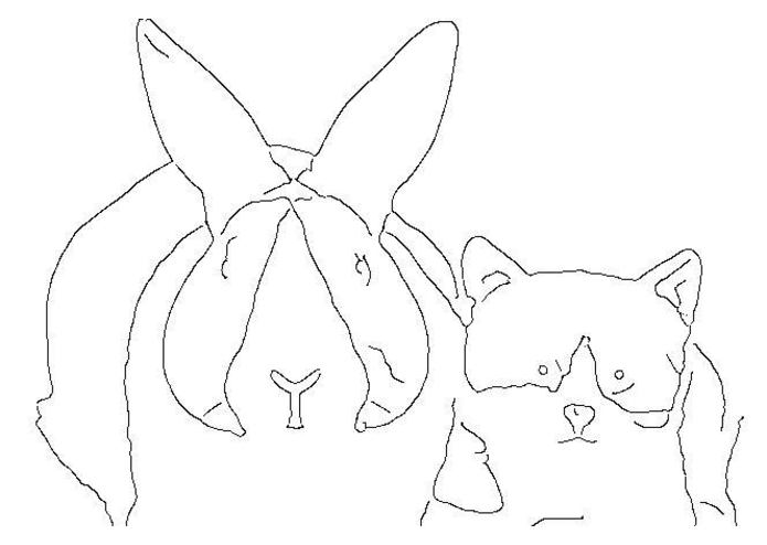 Color My World – screenshot 2