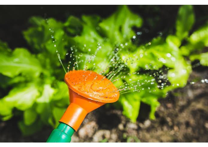 Voice Garden – screenshot 1