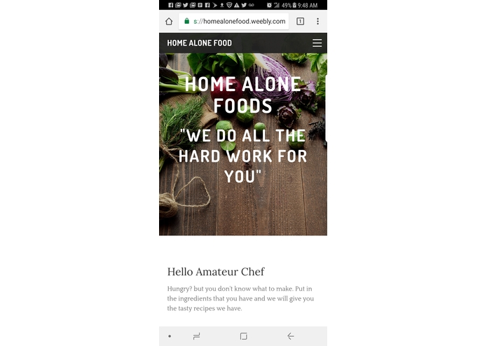 Home Alone Food – screenshot 1