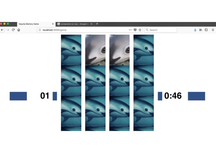 Vaquita Website – screenshot 3