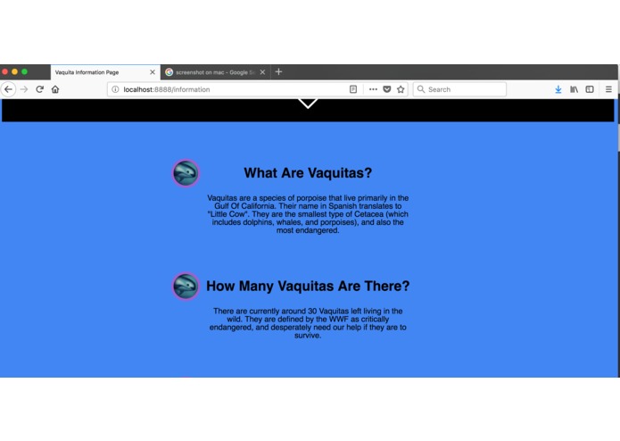 Vaquita Website – screenshot 4