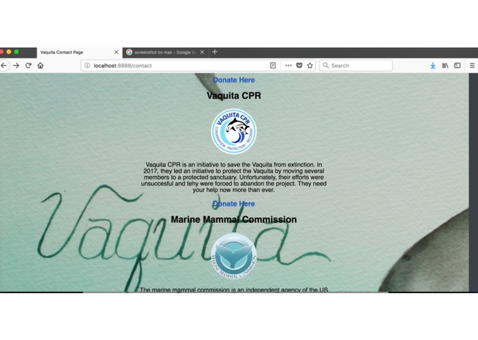 Vaquita Website – screenshot 2