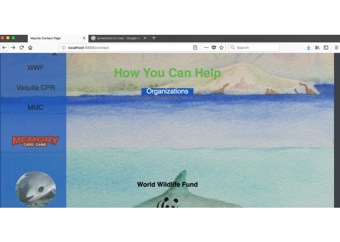 Vaquita Website – screenshot 1