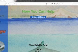 Vaquita Website