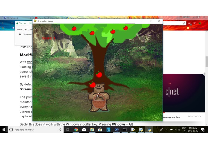Hibernation Frenzy – screenshot 1