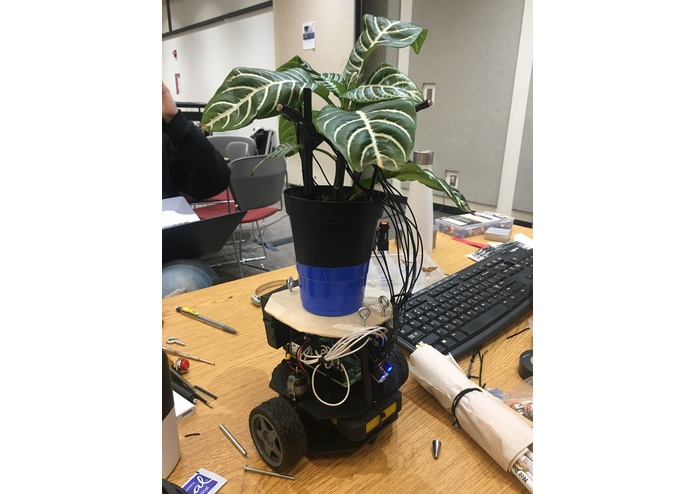 Photo-Rover – screenshot 1