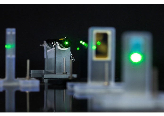 miniLIGO – screenshot 1