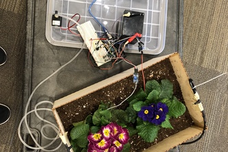Self-watering Plant System