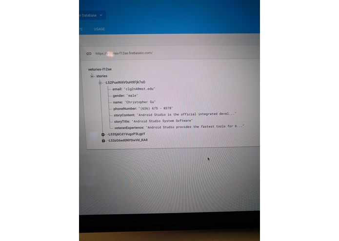 Vetories – screenshot 9