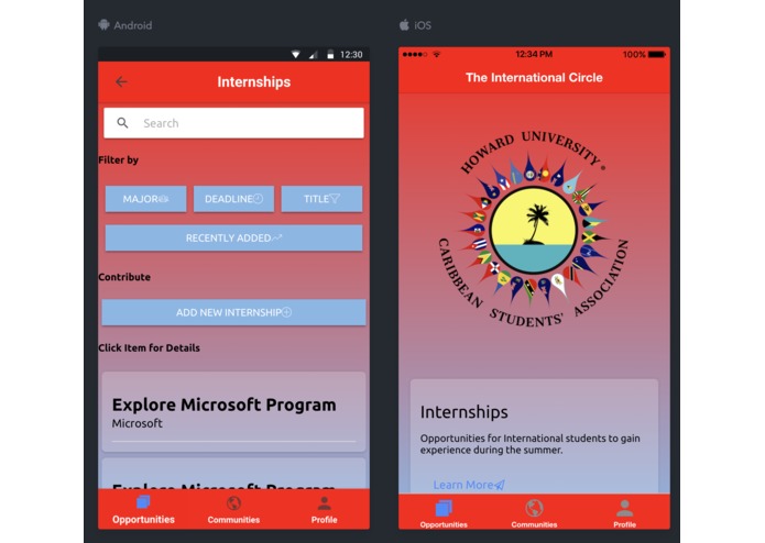 The International Circle – screenshot 1