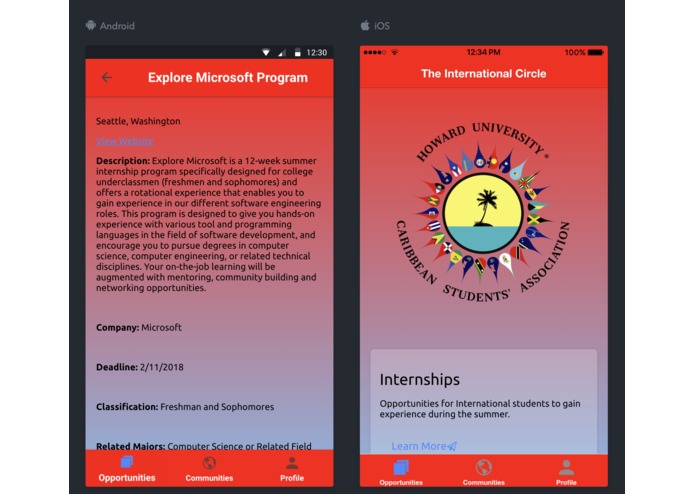 The International Circle – screenshot 2