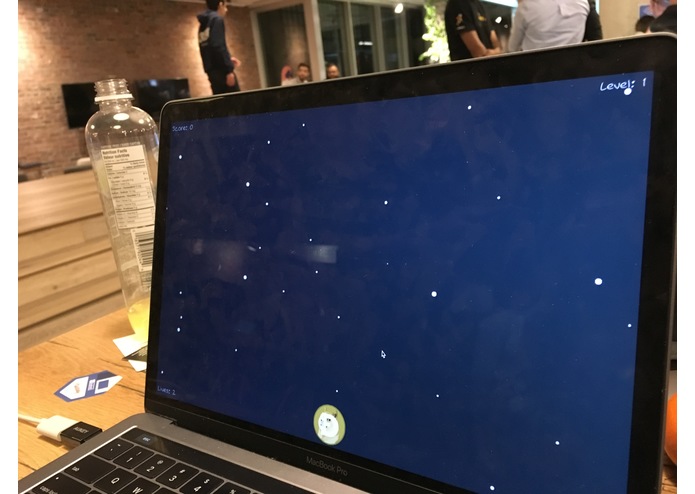 Doge-Invaders – screenshot 5