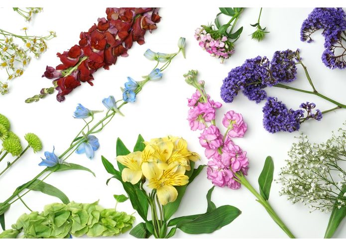 Instant Bouquet – screenshot 1