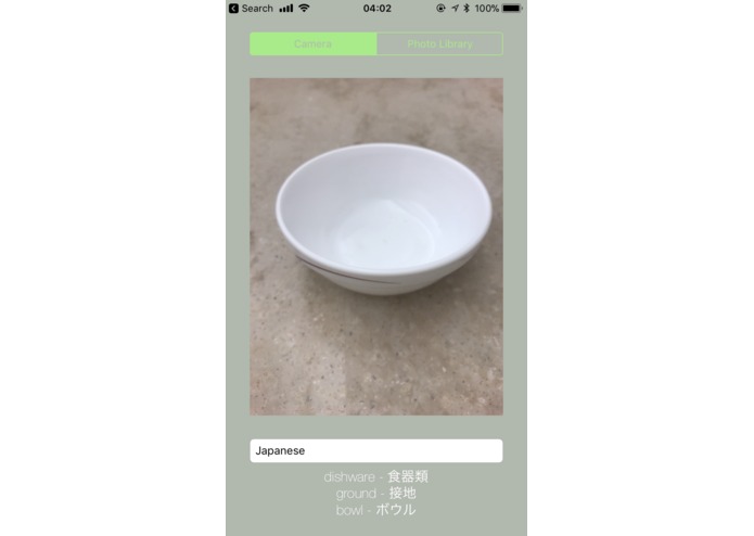 Literal – screenshot 1