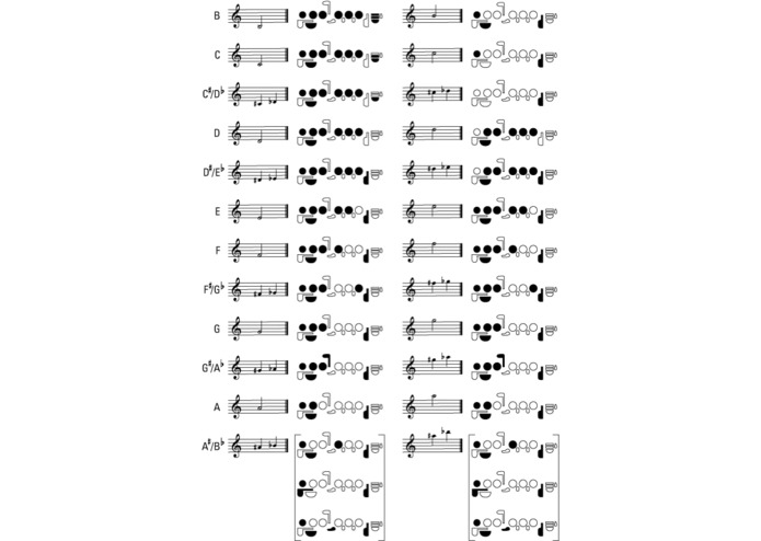 Twinkle Fingers: Beginner Musician Learning Tool – screenshot 1
