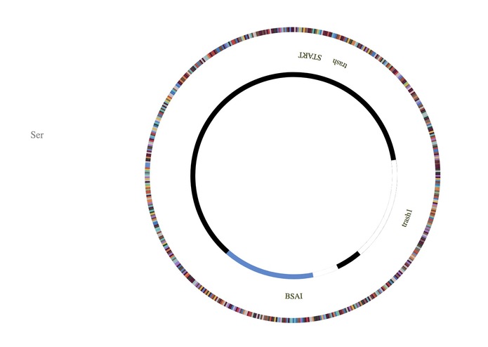 DNA_Visualization – screenshot 1