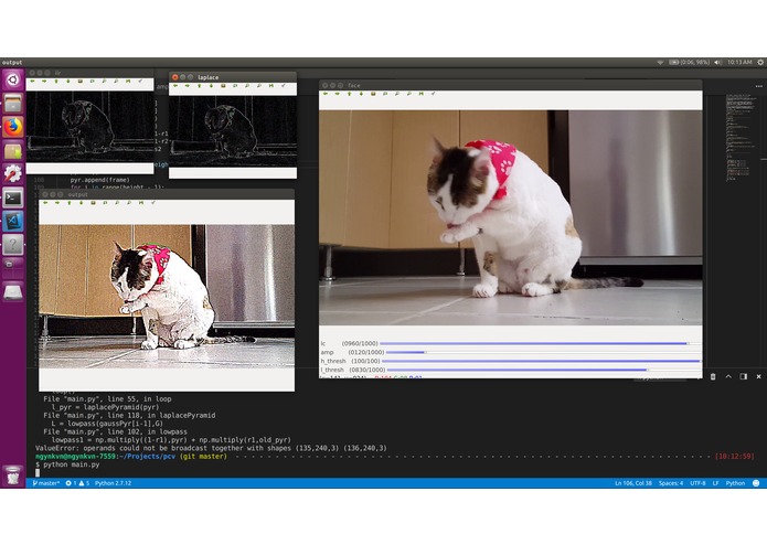 Euler CV – screenshot 1