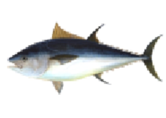 Tuna_Melt – screenshot 1