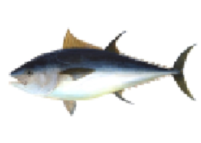 Tuna_Melt – screenshot 2